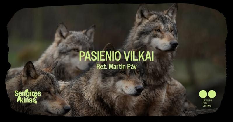 Sengirės kinas / Martin Páv „Pasienio vilkai“ (2020 m., Trukmė: 79 min)