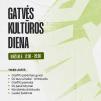Renginio plakatas
